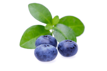 Bilberries