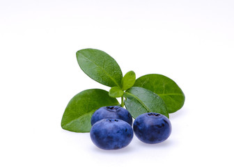 Bilberries