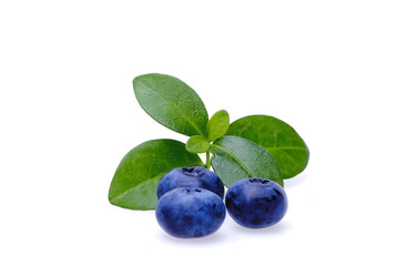 Bilberries
