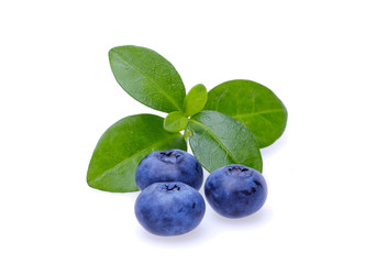 Bilberries