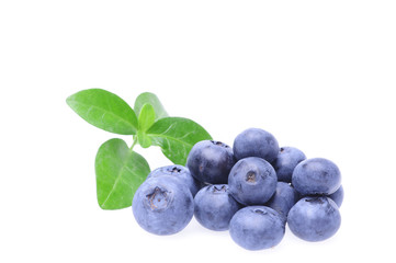 Bilberries