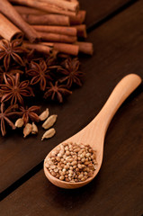 Beech wood spoon with coriander  and spice background