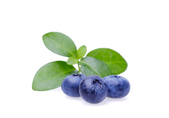 Bilberries