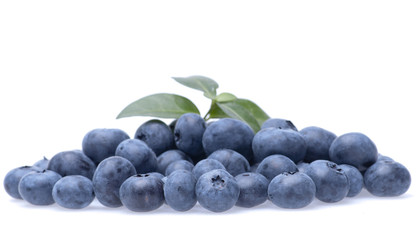 Bilberries