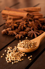 Coriander on a beech wood spoon