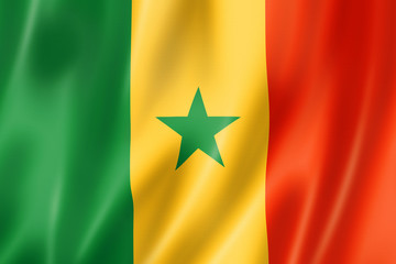 Senegalese flag