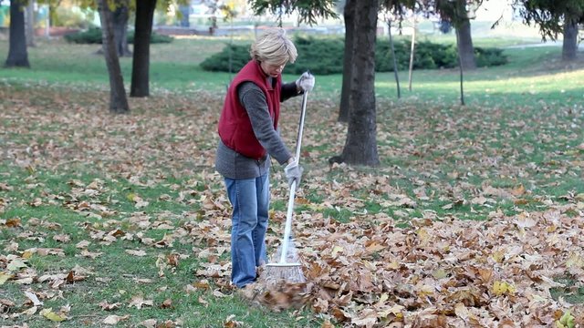 Mature woman raking autumn leaves in a garden