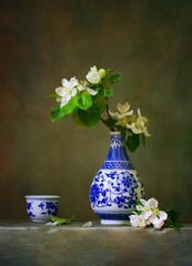 Still life with blooming apple branch