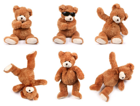 Naklejka Teddy bears in different poses on white background