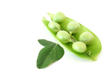 Baccello piselli e foglie#2