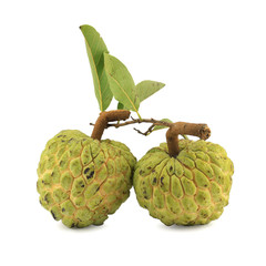 Obraz premium Sugar apple [Annona squamosa]
