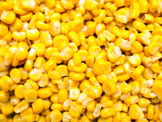 Corn background