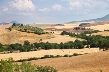 Fototapeta na wymiar Countryside landscape in Tuscany near Siena in Italy
