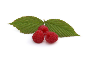 Framboises