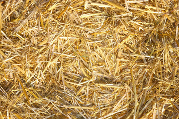 Golden hay texture background close-up