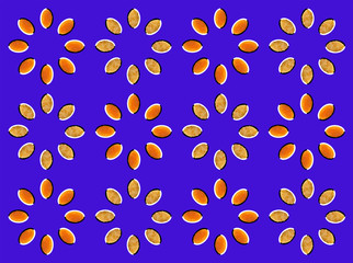 Optical illusion: circles made from dried fruits