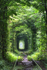 Tunnel of love © tverkhovynets