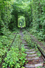 Tunnel of love © tverkhovynets