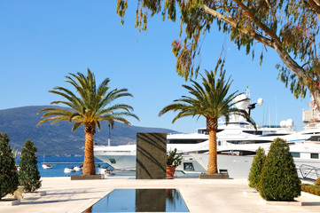 Yachts and palms in the port - obrazy, fototapety, plakaty