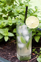 Outdoor Mojito