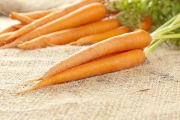 Fresh Organic Carrots