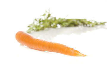 Fresh Organic Carrots