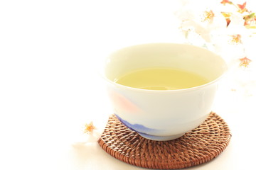 Japanese green tea with cherry blossom for spring image