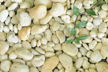 Stone background and leaf