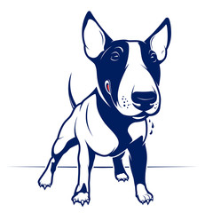 Bull Terrier