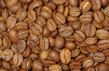 coffee grains