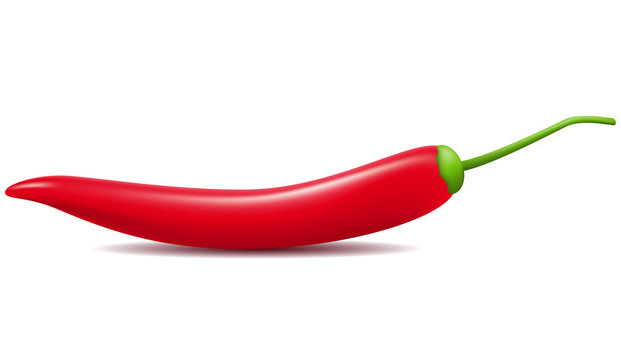 red hot chili pepper illustration