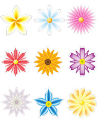 icon set of flowers for design