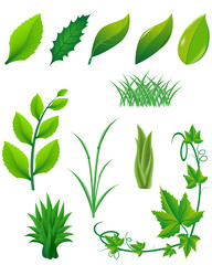 icon set of green leaves and plants for design