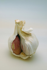 garlic