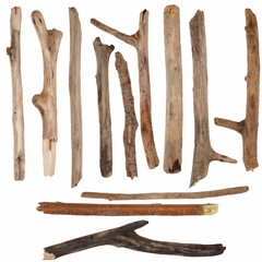 macro dry branches isolated on white background © dule964