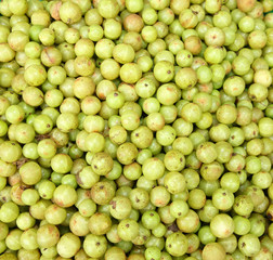 Indian gooseberry for sale in Ranong, Thailand