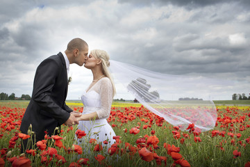 Newlyweds kissing in blooming poppy fields