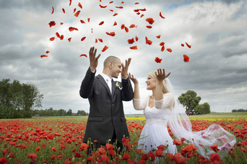 Newlyweds in blooming poppy fields, throwing  petals overhead