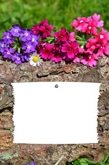 Blumen Holz Gutschein Zettel Papier