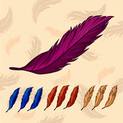 colorful feathers on background with feathers