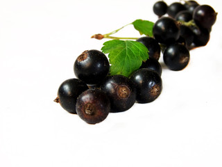 Berries on the white background