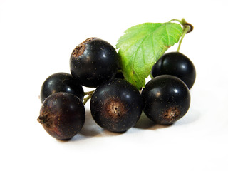 Berries on the white background