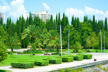 Fototapeta premium Beautiful tropical garden