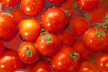 Tomatoes in water