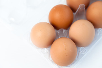 Chicken egg on white background