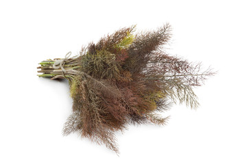 Bronze fennel