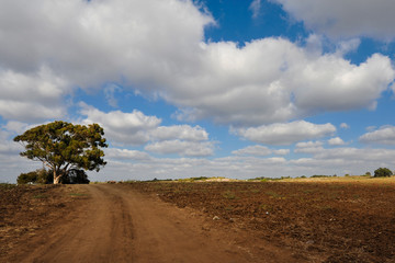 Fototapeta premium cloud-roads