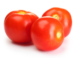 Ripe red tomatoes isolated on white