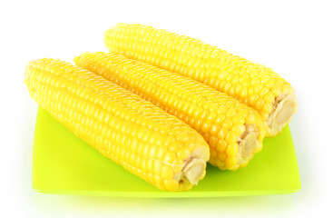boiled corn isolated on white on the green plate