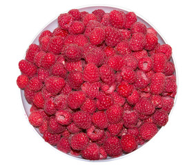 Fresh raspberry